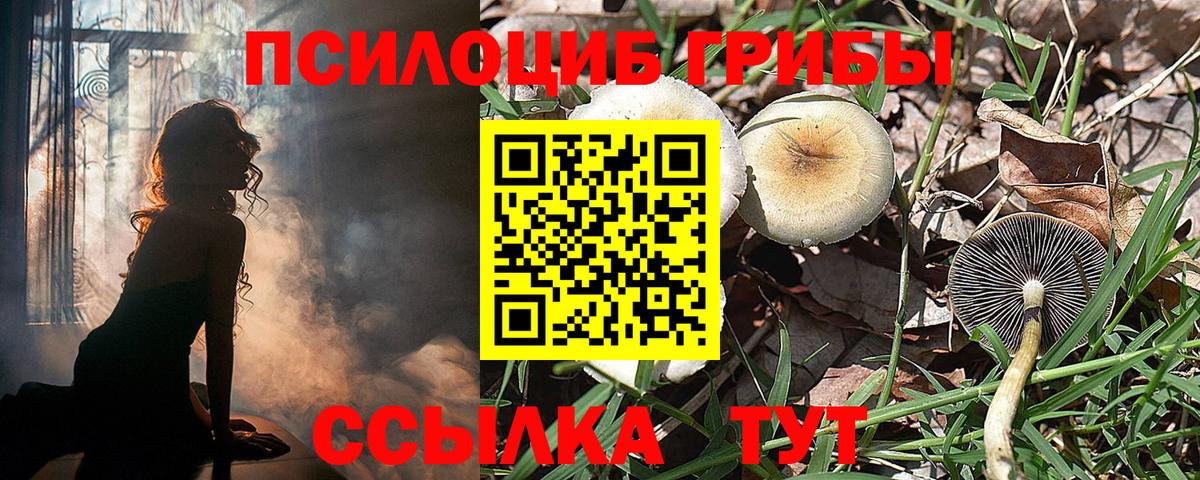 Галлюциногенные грибы Magic Shrooms  Вход с VPN  Борисоглебск 